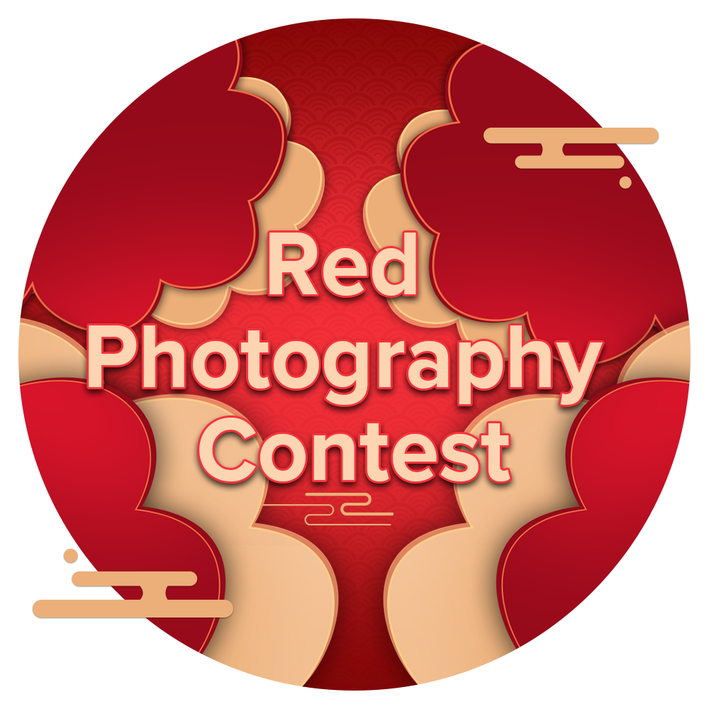 Red Photography Medal
