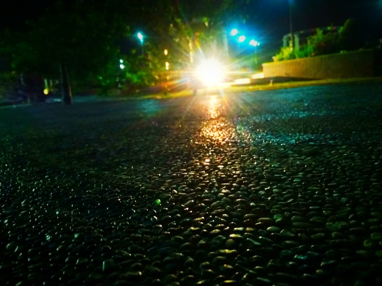 jalan jalan di taman pada malam hari - Fotografi - Mi Community